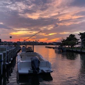 Meet your Posher, William